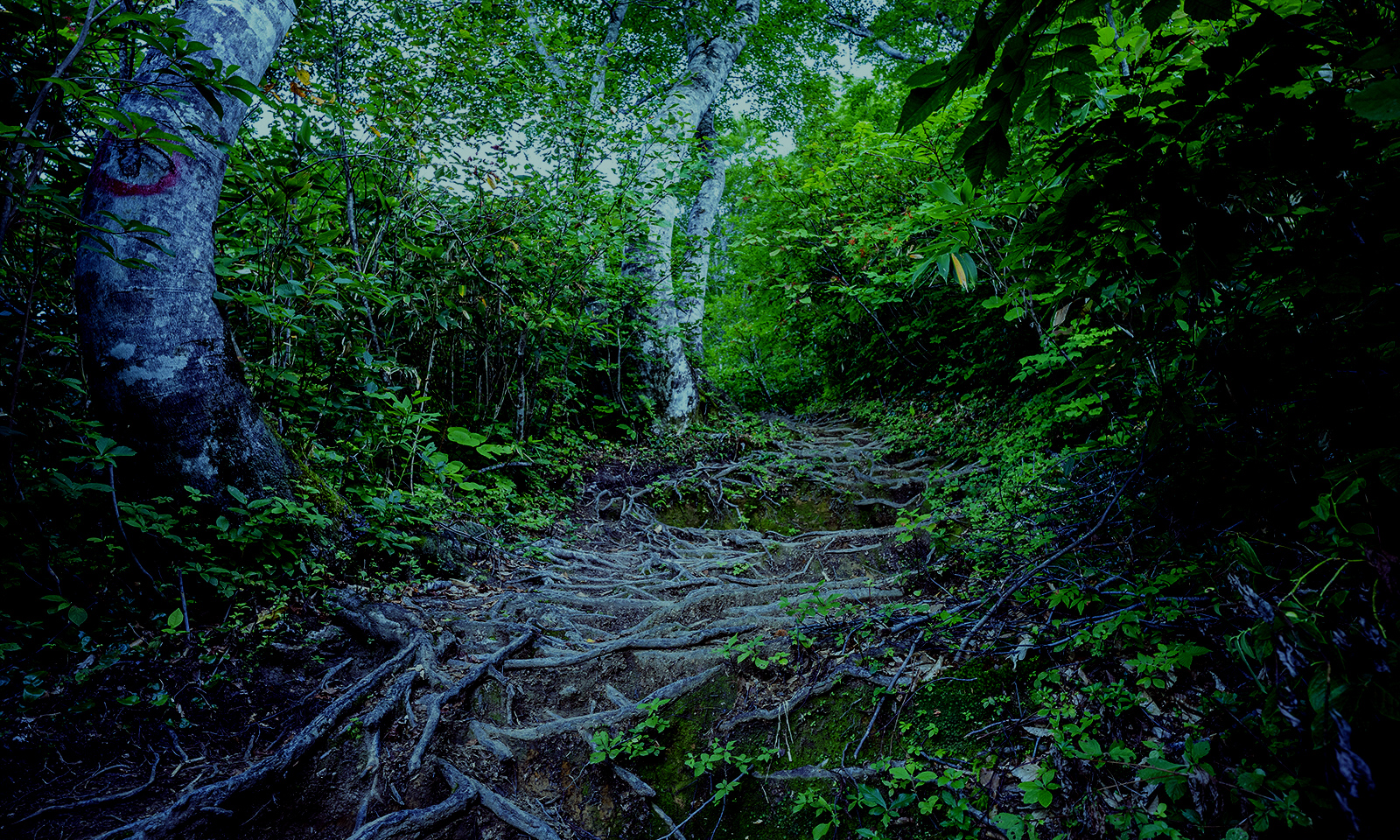 雨飾山